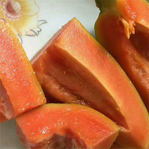 乳瓜可以放糖吃吗,糖醋乳瓜，美味升级