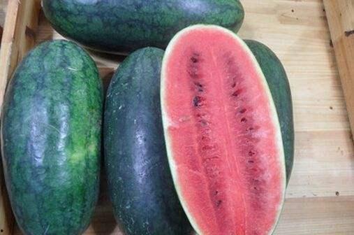 黑瓜网站在吃瓜,揭秘娱乐圈吃瓜背后的真相与趣味