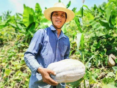 善良吃瓜群众,揭秘娱乐圈背后的温情与真相