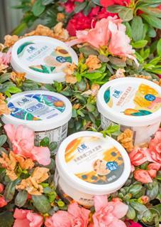 吃冰淇淋瓜的视频