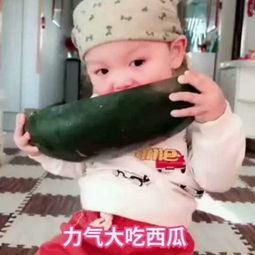 宝贝吃小瓜视频大全