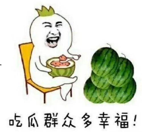 快乐吃瓜号