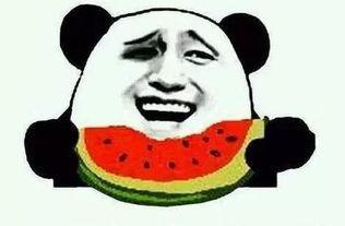 有感情的吃瓜,一场有温度的吃瓜盛宴