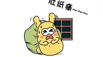 干支纪年型吃瓜群众,揭秘吃瓜群众的趣味时光