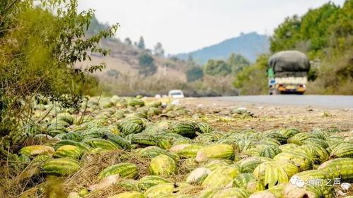 疫情吃的瓜,那些被疫情放大镜下的饮食故事